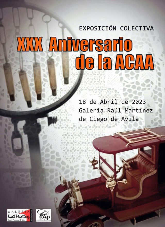 Poster Oficial de la Exposición ACAA