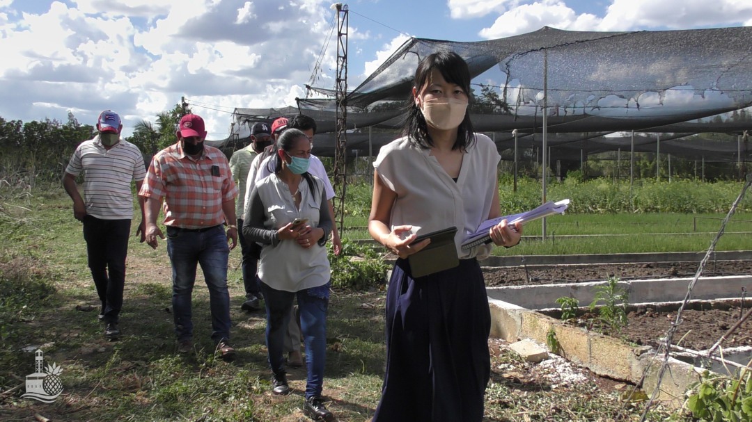 Apoya Japón labor de Cuba por la seguridad alimentaria (+ Fotos) 