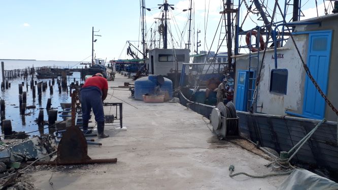 Constatan impacto social de la Ley de Pesca en Ciego de Ávila 