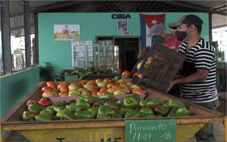 Avanza comercialización de productos agrícolas en Ciego de Ávila 