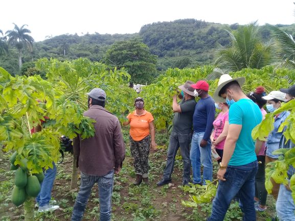 Diversifica sus producciones agroecológicas Finca Escuela Los Hondones 