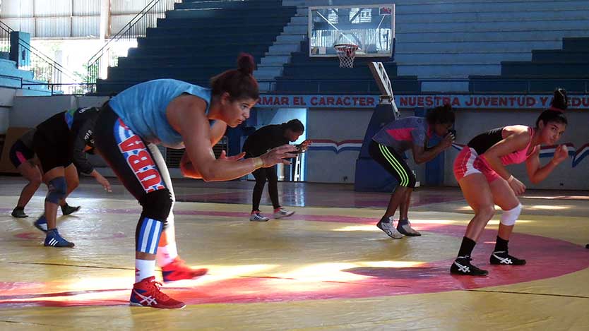 Luchadores cubanos entrenarán en Ciego de Ávila