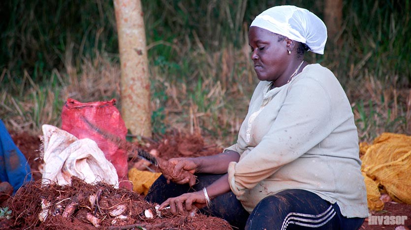 inter feminas labores agricolas