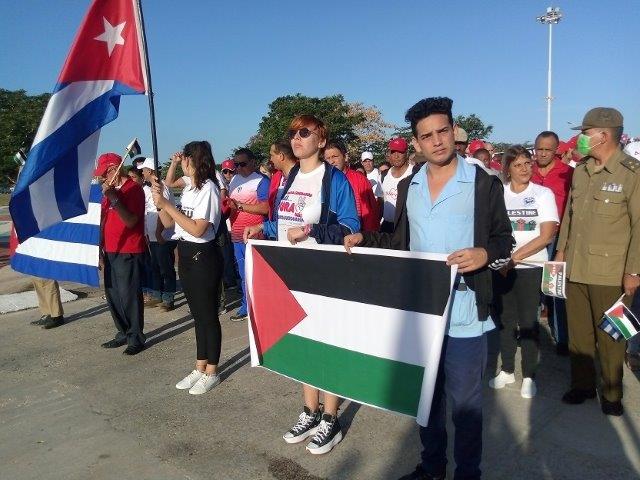 Miles de avileños marcharon contra el holocausto israelí en la Franja de Gaza 