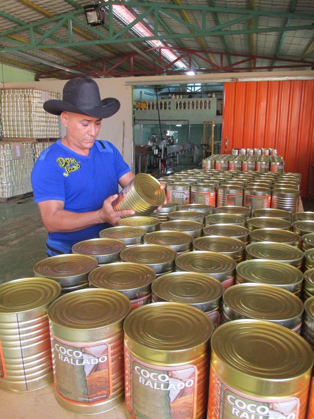 guajiro coco